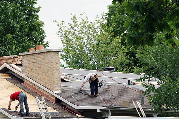 Best Roof Moss and Algae Removal  in Bedford Heights, OH